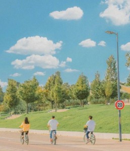 0AAD80961756DB39FAF98BC123D8D5A